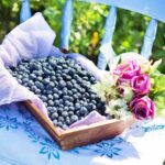 Wilde Blaubeere aus Alaska – 6 magische Vorteile dieser Wildbeere
