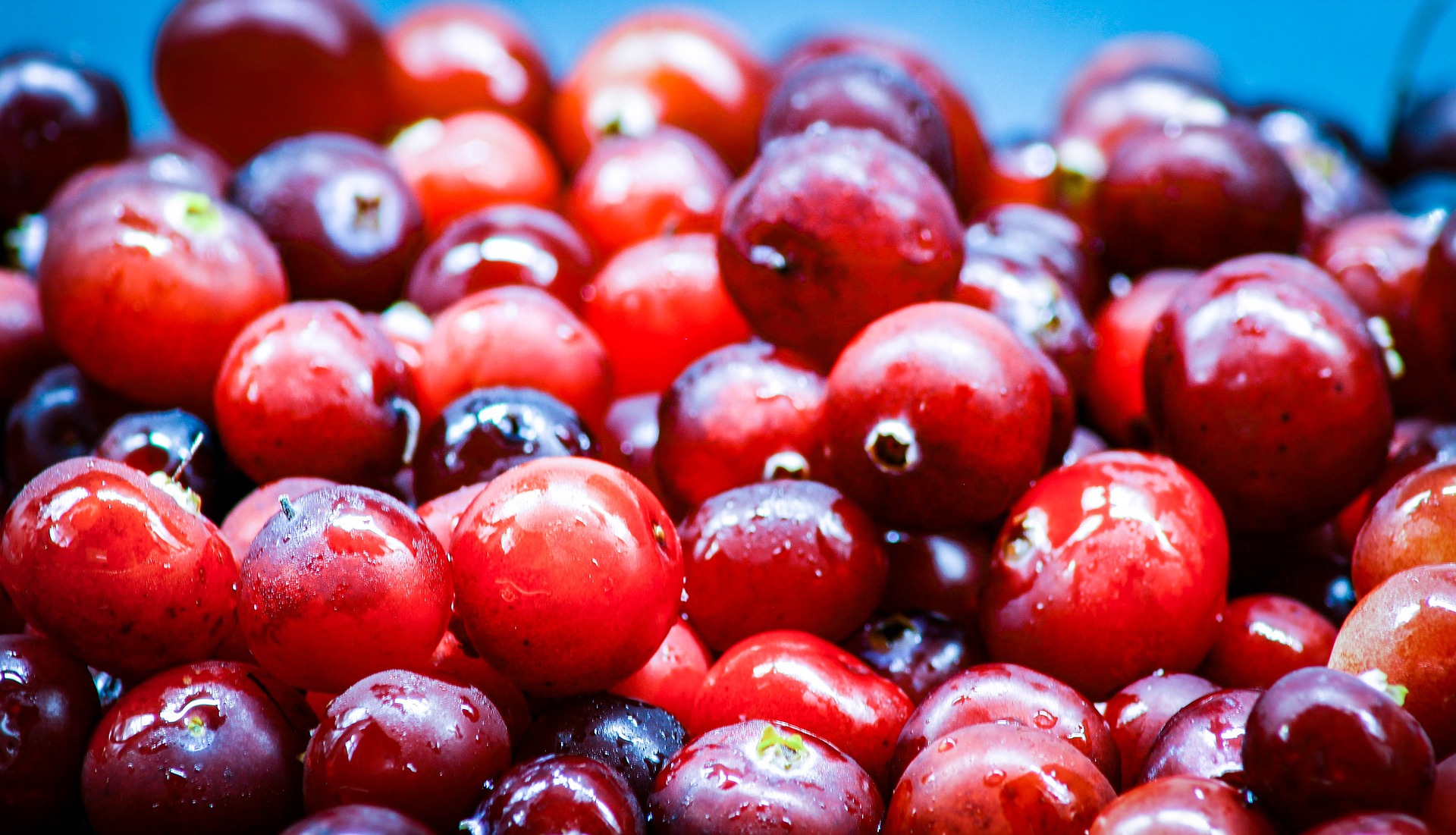Moosbeeren-Saft-Extrakt