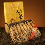 Panax Ginseng-Wurzel-Extrakt – ein exklusiv Booster für die Gesundheit